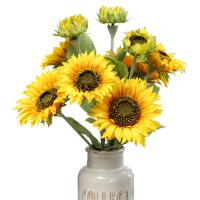 uploads/erp/collection/images/Home Garden/CongDing/XU0610665/img_b/XU0610665_img_b_5